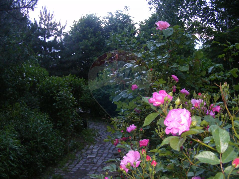 7 room House / Villa for sale