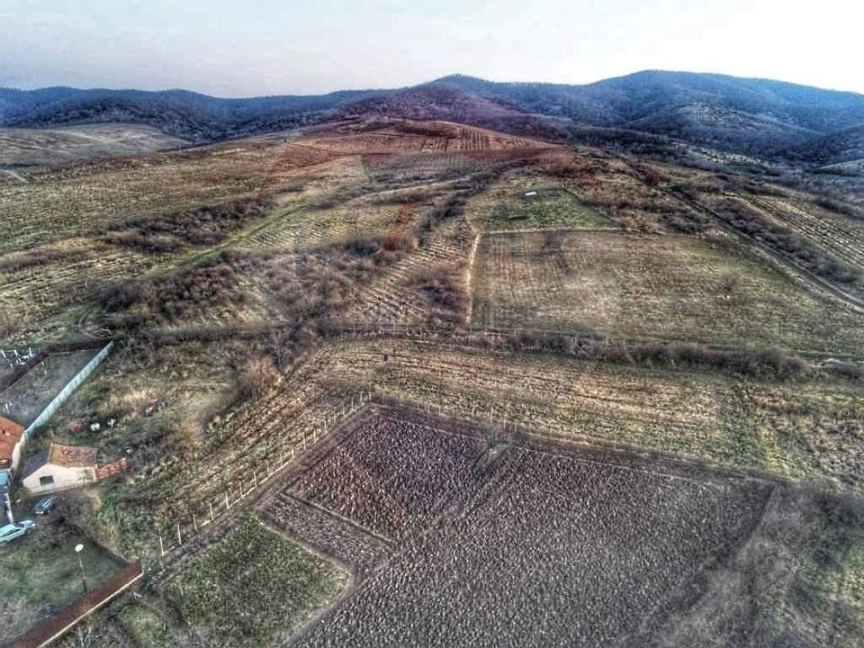 Land 3,659sqm Covasint / Strada Liliacului