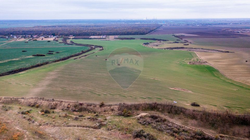 Land 310,000sqm Catunu (Berceni) / Intrarea tarla 17