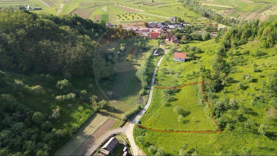 Land 2,339sqm Barsana / Strada Principala
