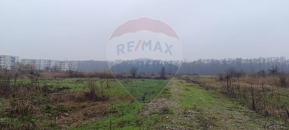 Land 500sqm Drumul Padurea Neagra