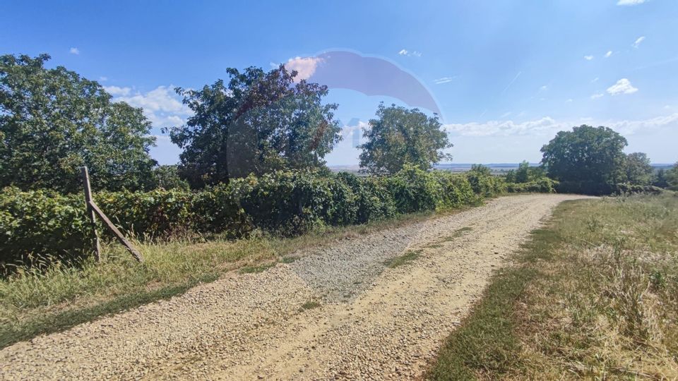 Land 12,818sqm Santimreu / Strada Principala