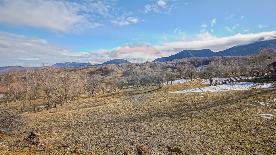 Comision 0%| Teren intravilan Sohodol 2495 mp| Apa si curent