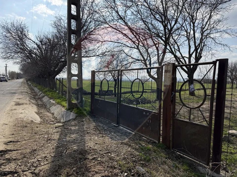 Teren 500 h plus 1000h arenda Vrancea