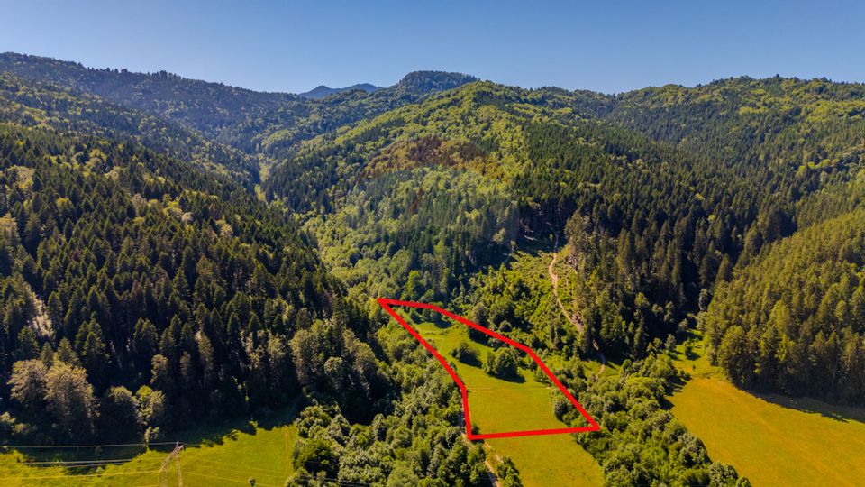 Land 13,300sqm Sacele / Soseaua Valea Doftanei