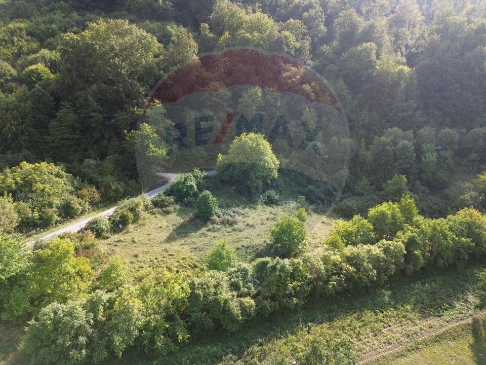 Teren de vânzare în Măgureni