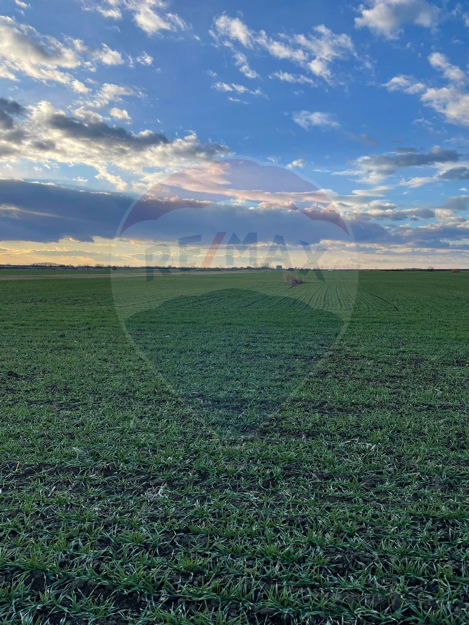 Land 10,800sqm Gruiu / None