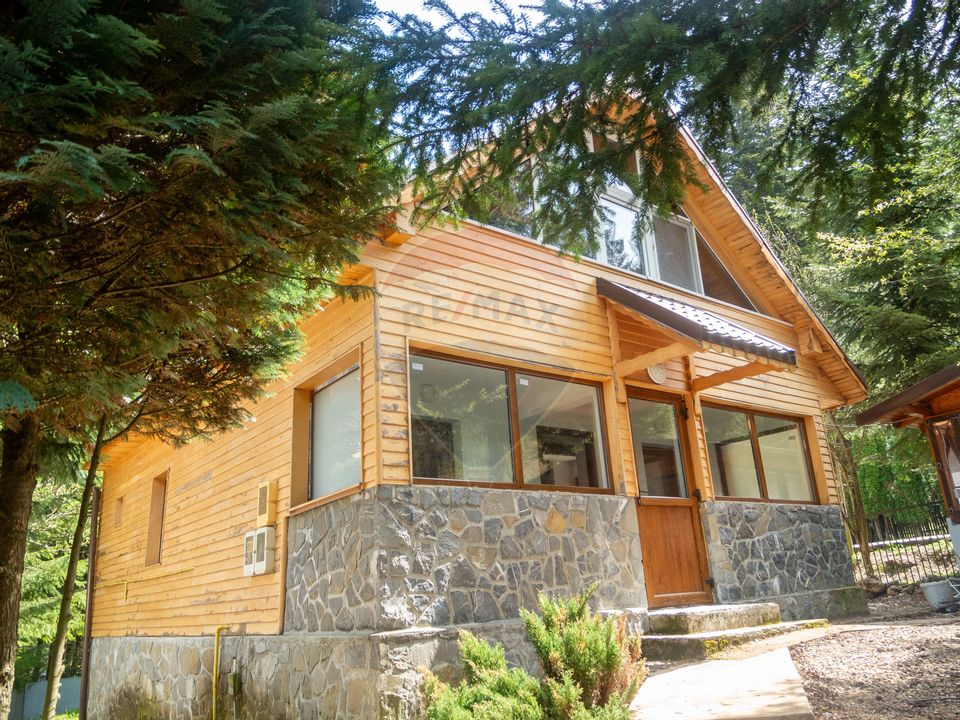 4 room House / Villa for sale, Vladet - Trei Brazi area