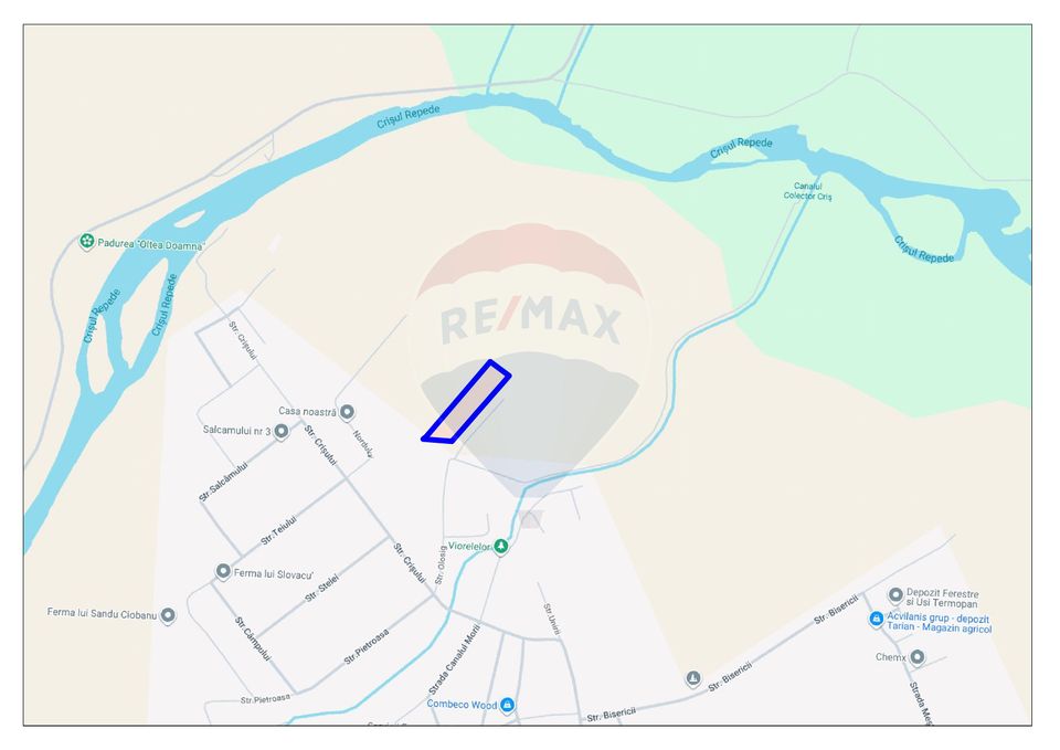 Teren intravilan de vânzare, 11.600 mp – Tărian, Girișul de Criș