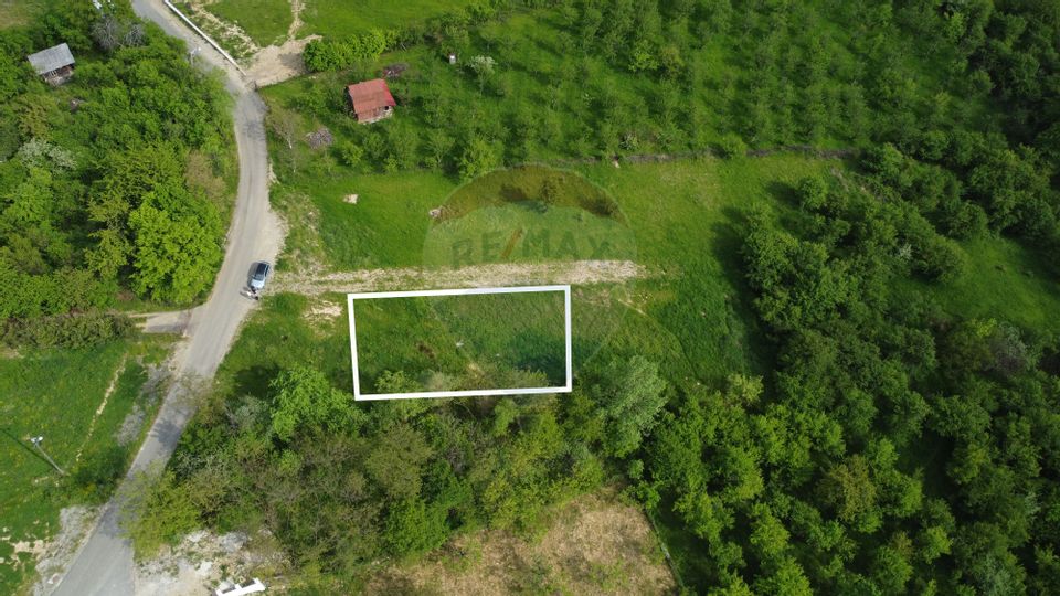 Land 750sqm Baia Mare / Strada Miron Costin