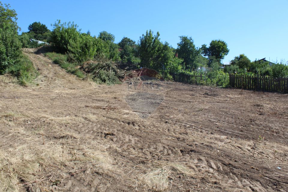 Teren intravilan Tomesti / Strada Soseaua Veche