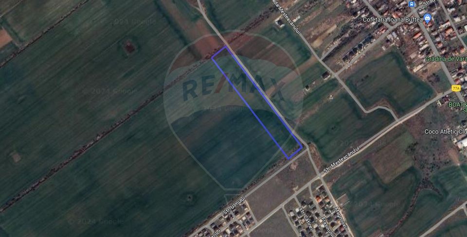 Land Buftea / Ulmului Street for sale