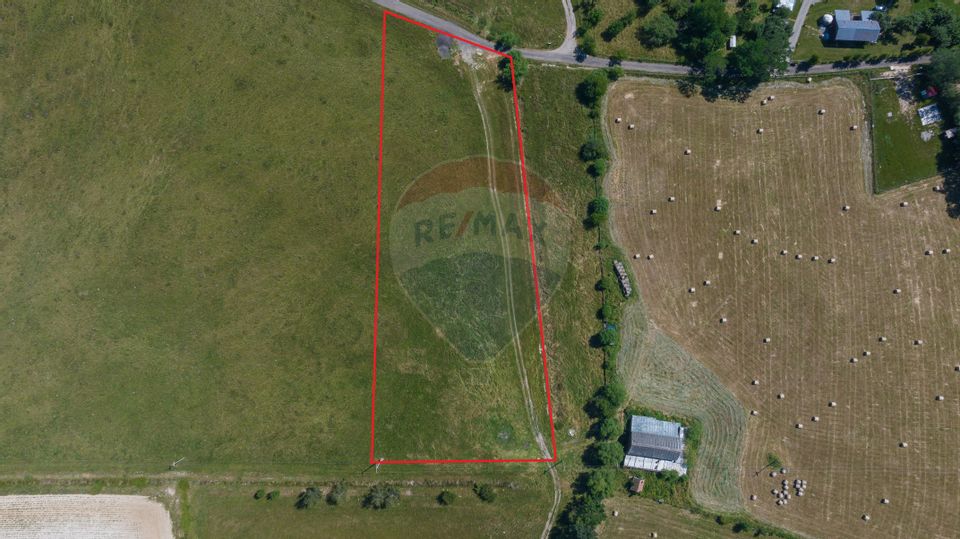 Teren Bran -Sohodol, Strada La mesteceni, 6900mp