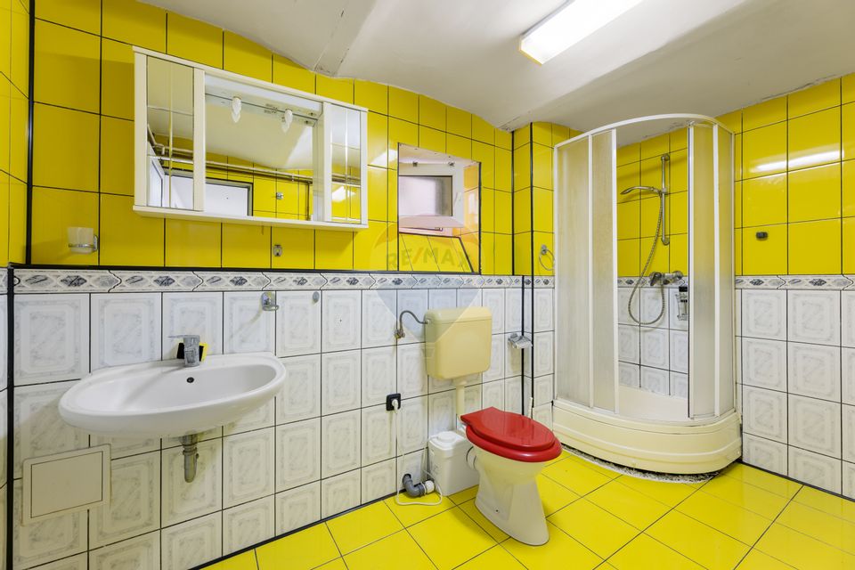 Casă spațioasă de închiriat pe Malul Mureșului