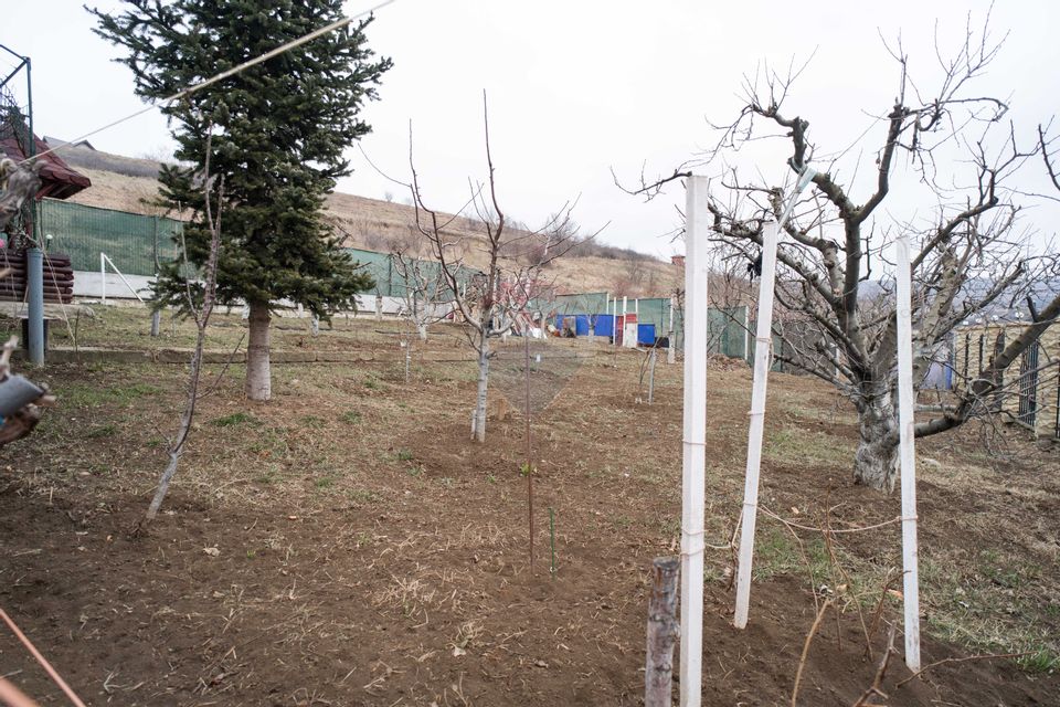 Casă / Vilă cu 3 camere de vânzare în zona Bucium