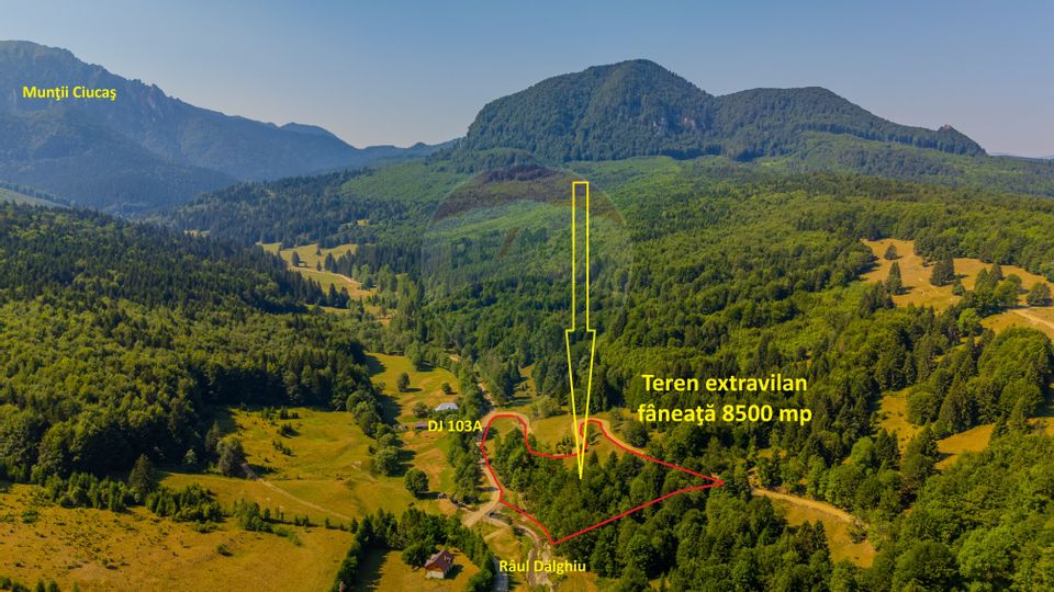 Land 8,500sqm Dalghiu / DJ 103A