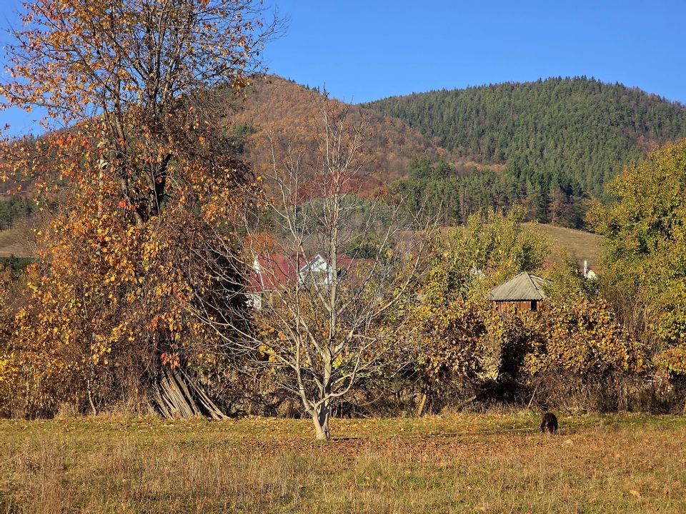 Land 6,874sqm Alexandru cel Bun / Strada plopusor