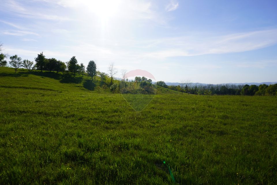 Land 15,000sqm Sighetu Marmatiei / Strada Mocăniței