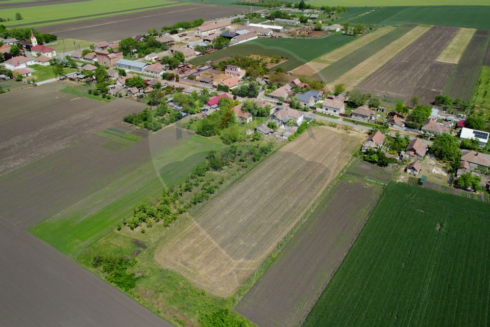 Teren intravilan 5,018mp Variasu Mare - 15 km de Arad/ str. Principală