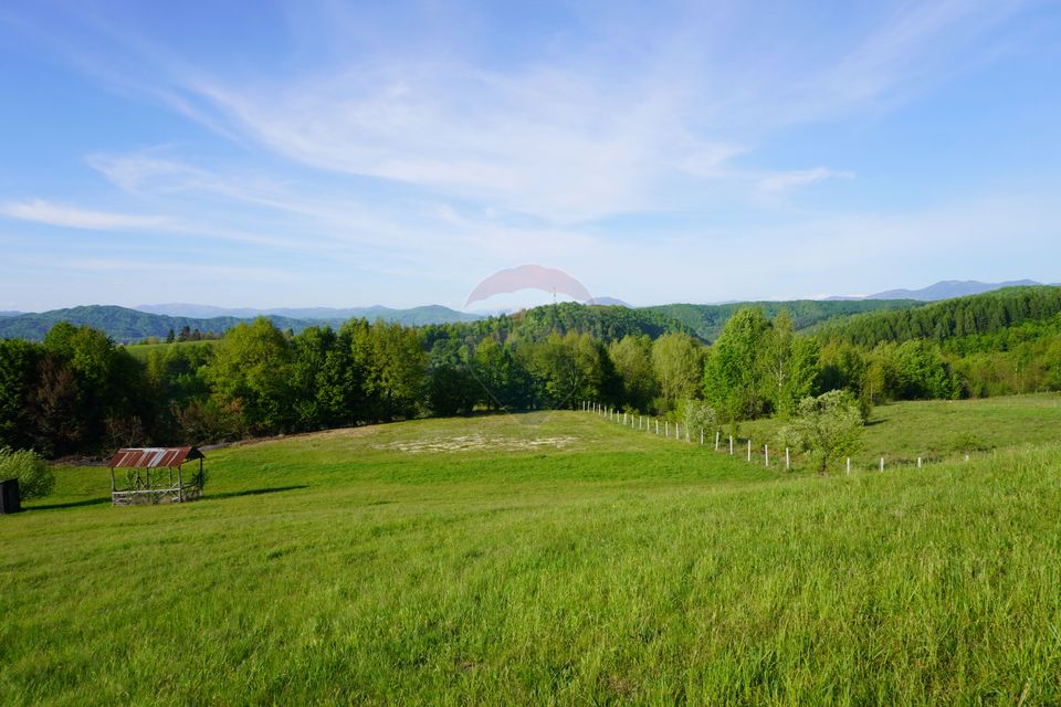 Land 38,592sqm Sighetu Marmatiei / Strada Mocăniței