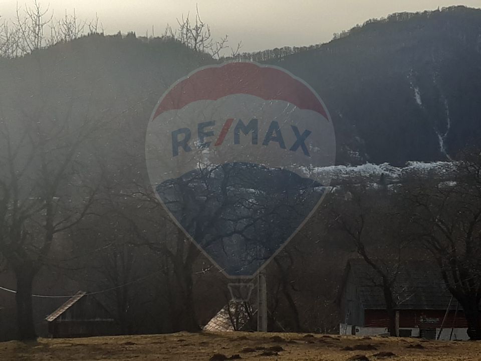 Land 10,279sqm Predelut / Strada Pe Tarina
