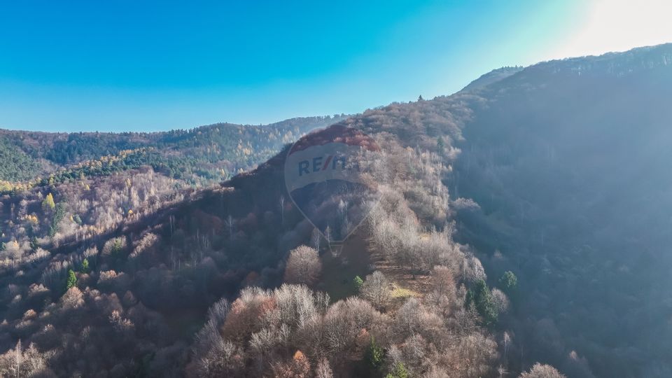 Teren Colinar Panoramic – 17.684 mp în Scheii Brașovului