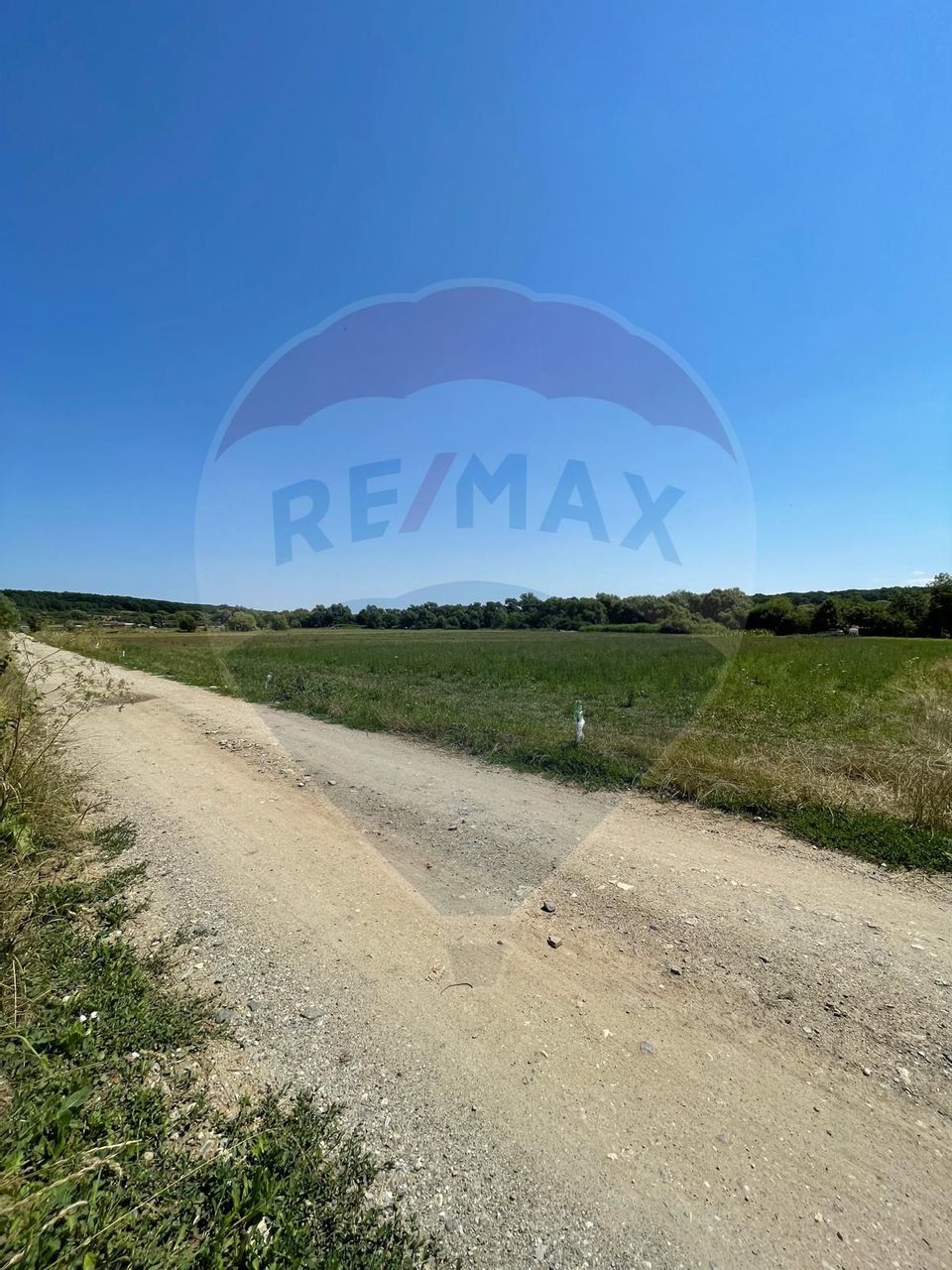 TEREN  INTRAVILAN  5000mp ORAS CISNADIE  STR. SELIMBARULUI