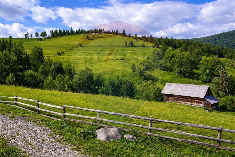 Land 6,500sqm Arieseni / Drumul Catunul Valea Galbenei