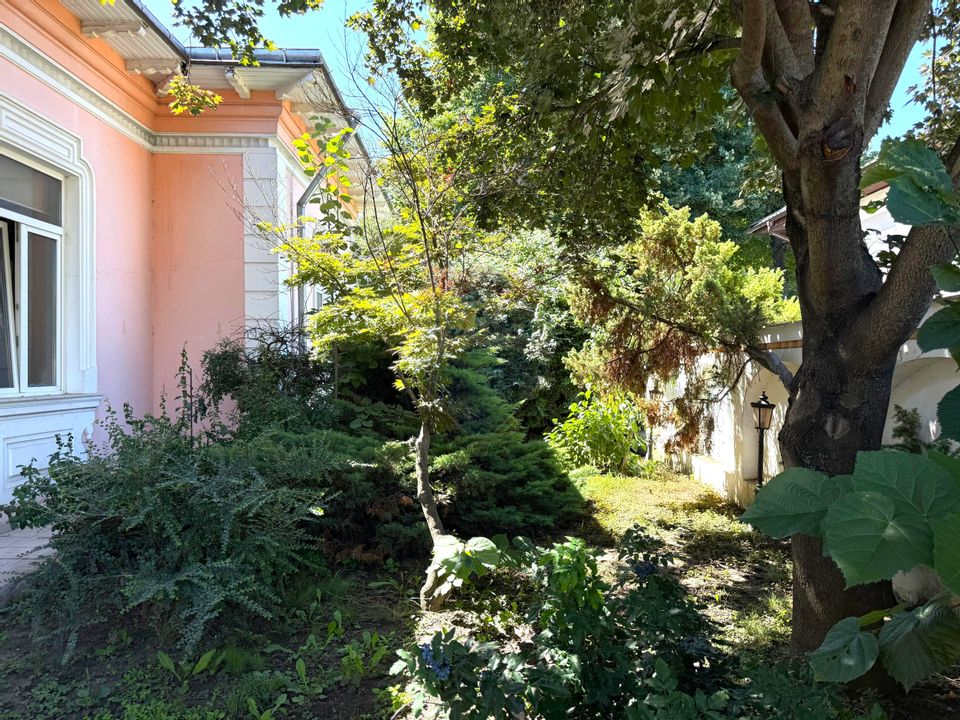 8 room House / Villa for sale, Central area