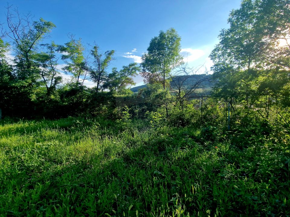 Teren 1,749mp Piatra-Neamt / Strada Zambilelor