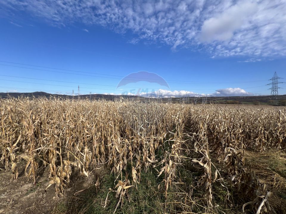 Teren extravilan agricol de vânzare - Selimbar Sibiu