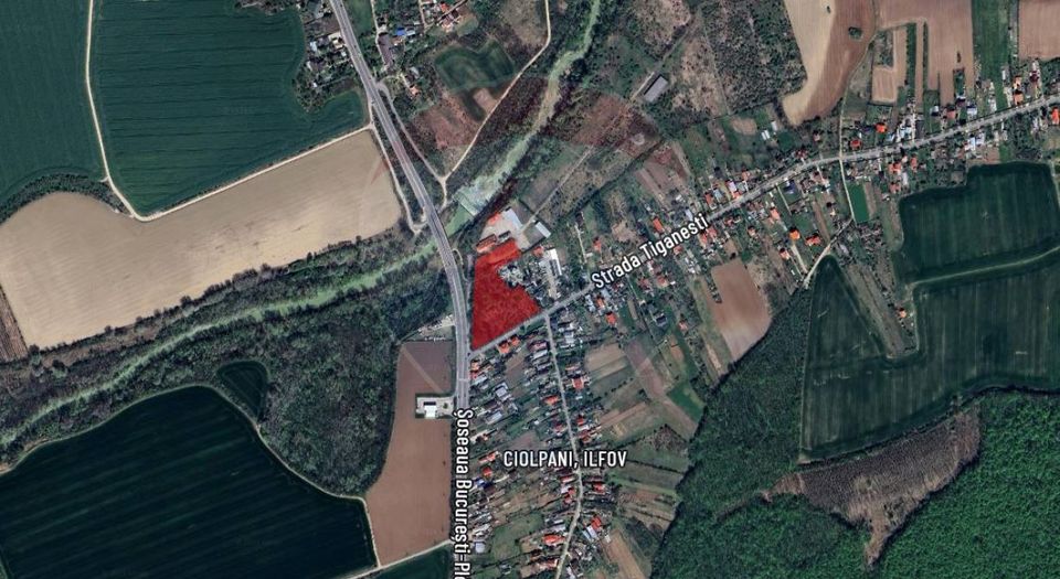 Teren Construcții, Intravilan vanzare, in Ilfov, Ciolpani