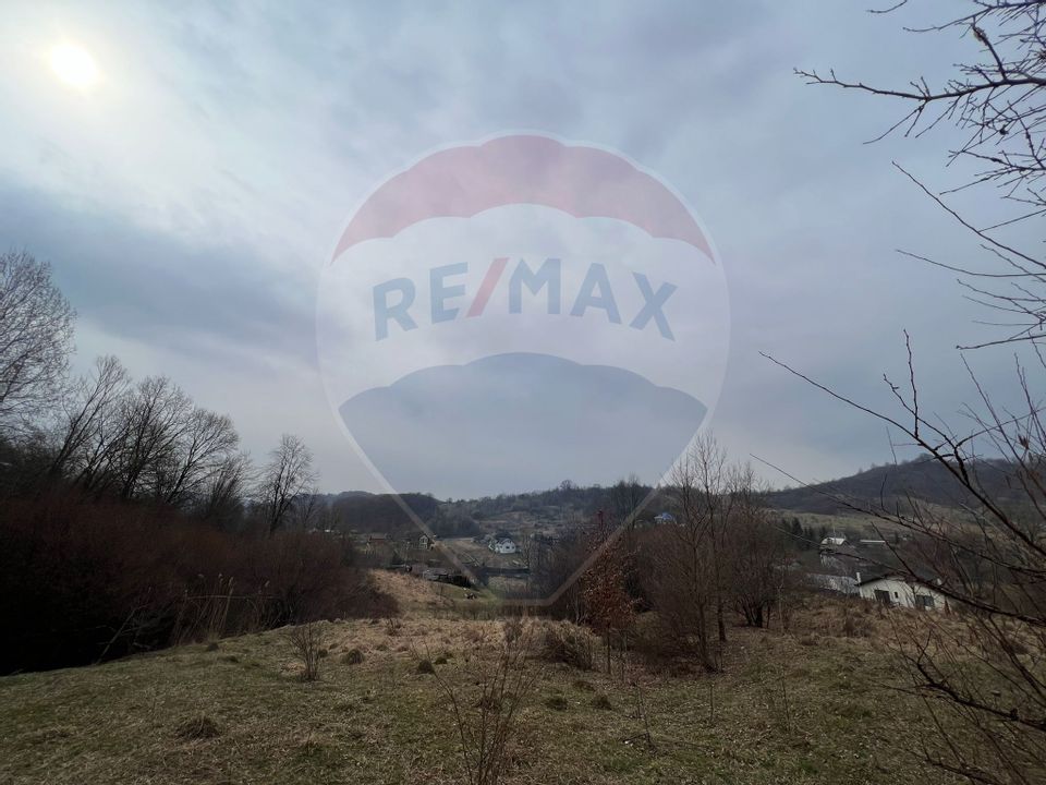 Land 500sqm Margineni / None