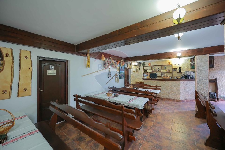 Oportunitate de investiție, Restaurantul Piatra Grăitoare,Vârtop,Bihor