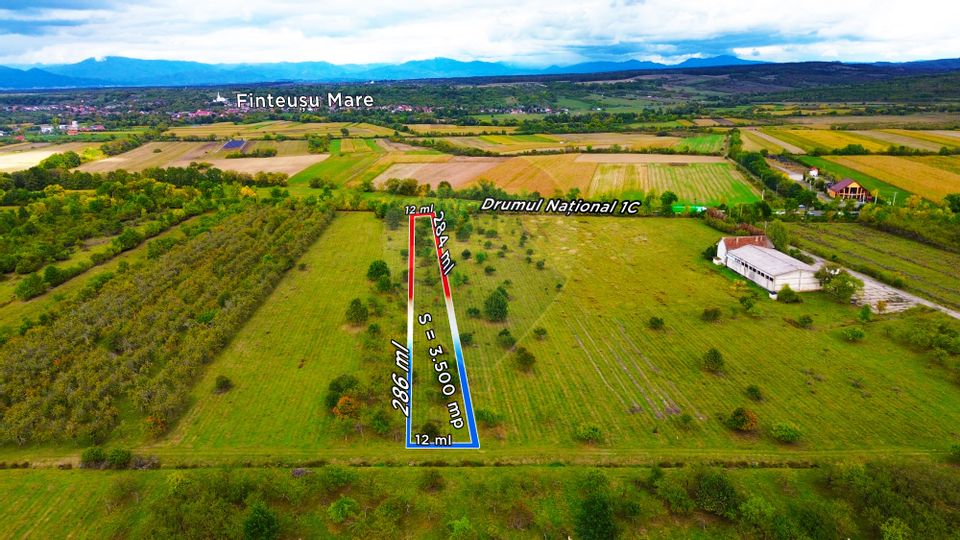 Teren Intravilan de Vanzare la Drum European