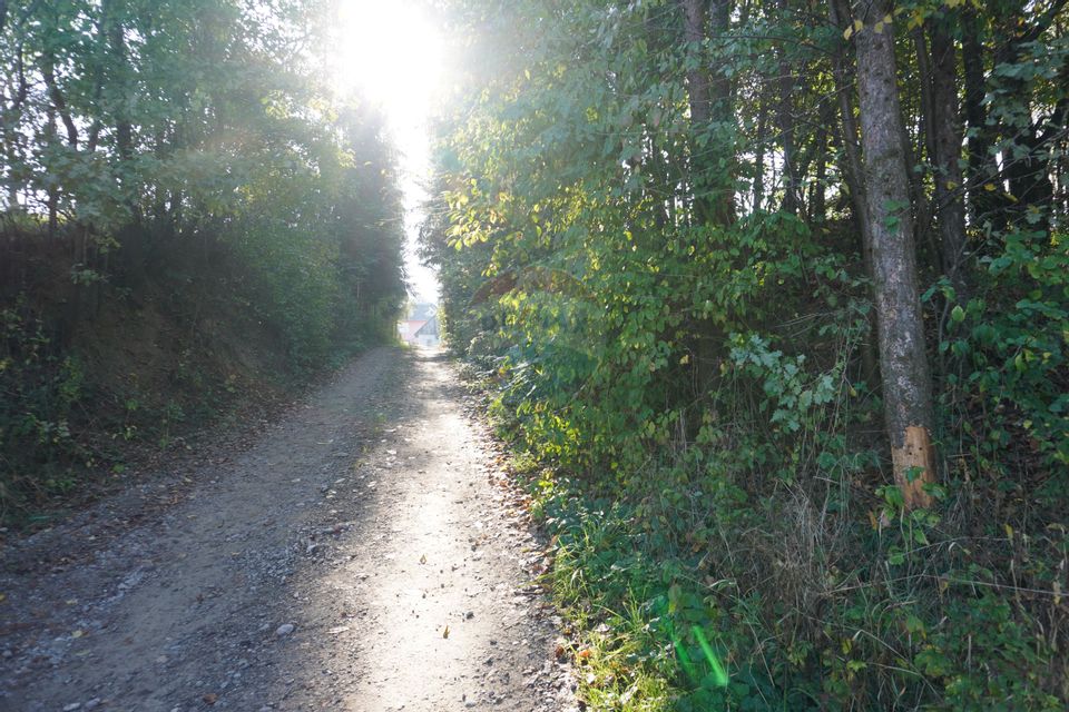 Teren 5,755mp Sighetu Marmatiei / Strada Doboies