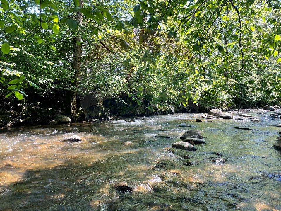 Land 2,932sqm Sarbi (Budesti) / Drumul Principal