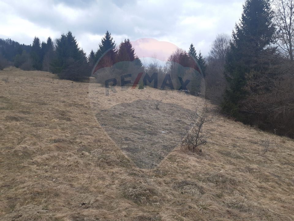 Teren Rasnov/ Soseaua Predealului DN73B