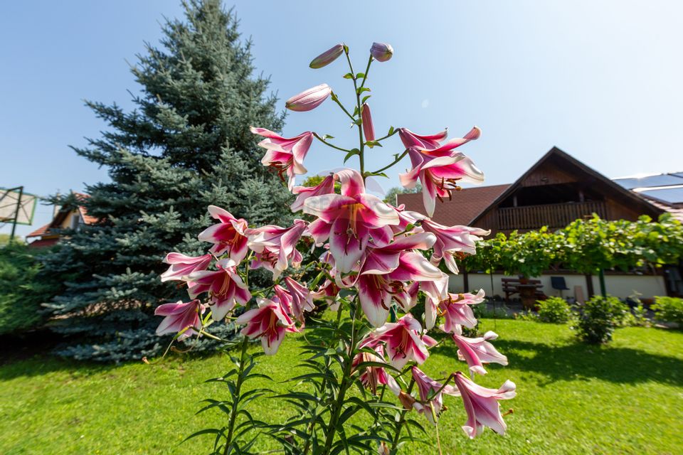 Casă spațioasă cu garaj dublu, foișor și curte amenajată