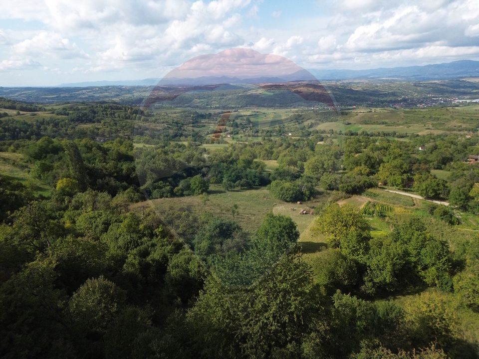 Land 5,000sqm Magureni / Strada Principală