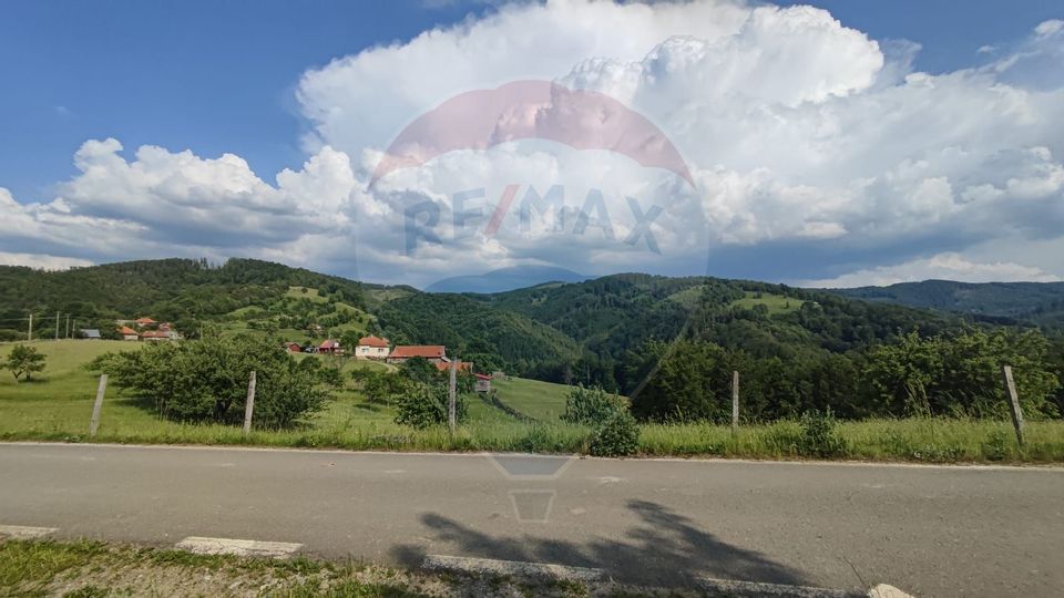 Teren 130000 mp extravilan Munteni - Bulz, Negreni