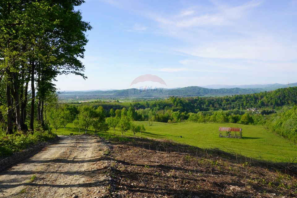 Land 15,000sqm Sighetu Marmatiei / Strada Mocăniței
