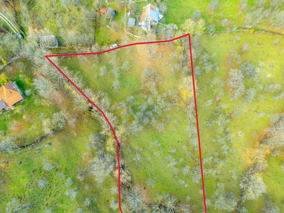 Urban land 4384 sq m – Talea commune, Prahova county