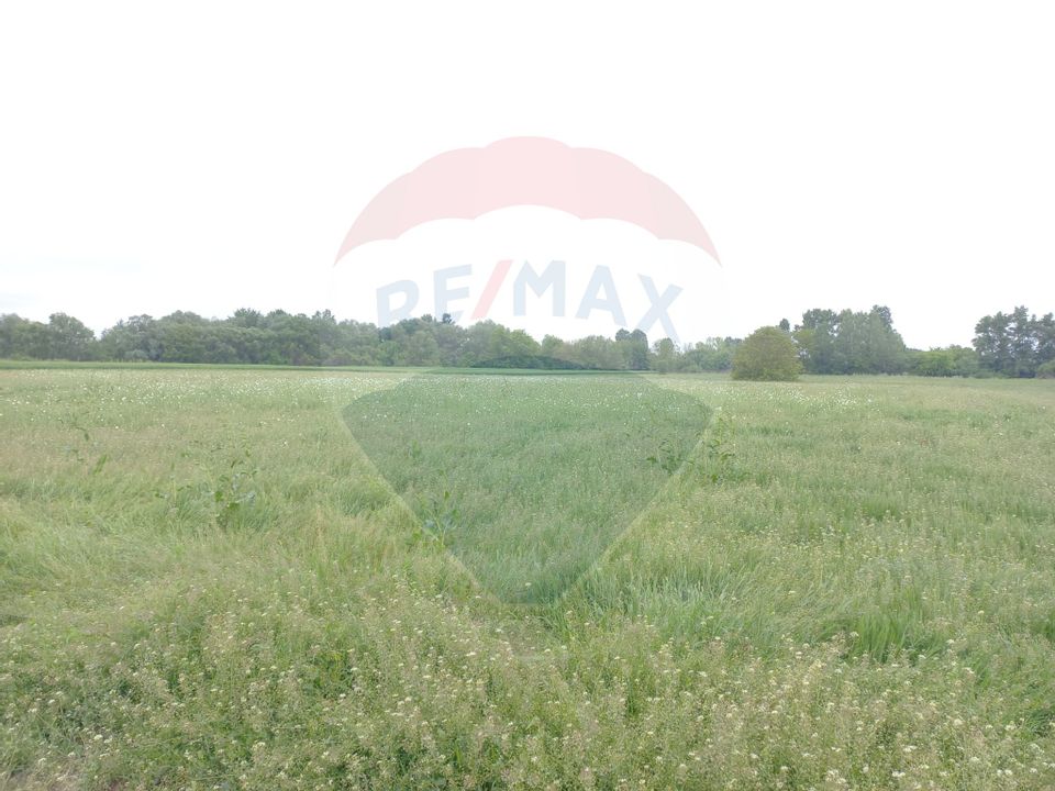 Land 2,500sqm Magurele / Strada Raului