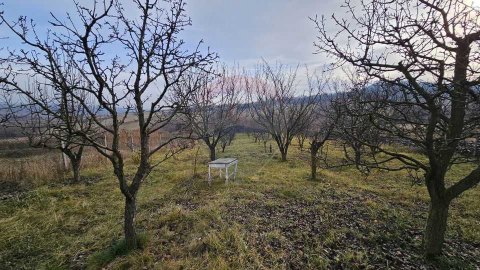 Teren extravilan 10,791mp Falticeni / Strada DJ209A, Opriseni