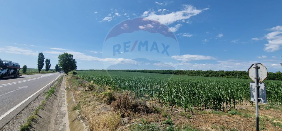 Teren de vanzare 32,000mp in Beresti-Bistrita jud. Bacau