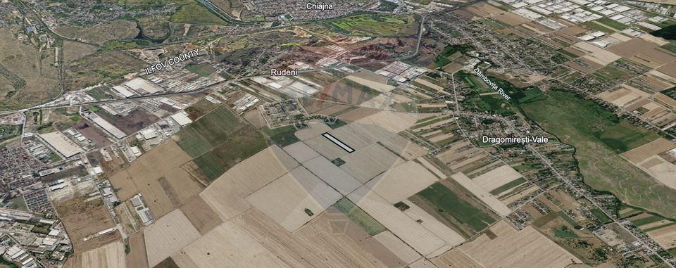 Land 10,000sqm Dragomiresti-Vale / Strada Lalelelor