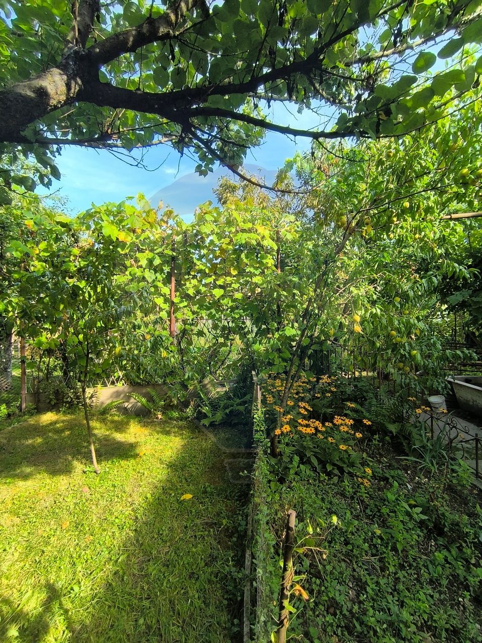 Casă de vanzare 3 camere Gherla