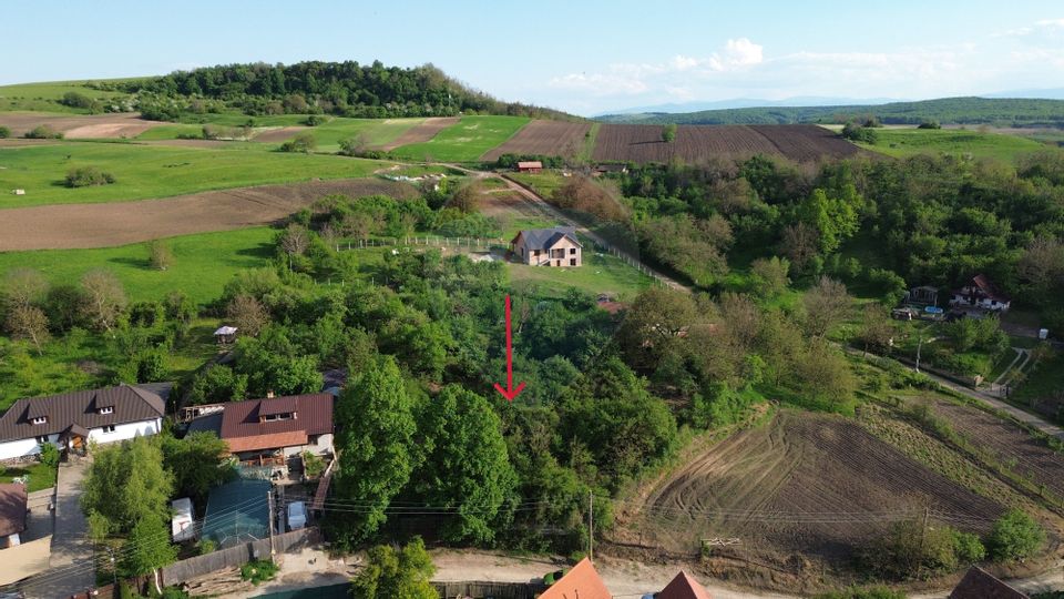 Teren intravilan 3.269 mp în Slimnic–panorama superbă, 15 km de Sibiu