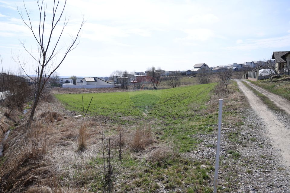 Teren 3,500mp Moara / Strada Pprincipala